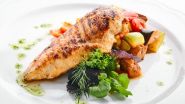 Macro shot of grilled chicken fillet with side dish of baked vegetables on white restaurant plate isolated.