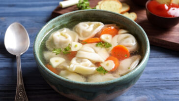 dumpling soup