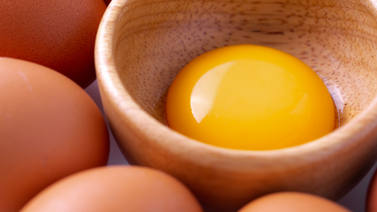 chicken egg yolk in a wooden bowl