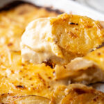 american dinner, au gratin potatoes.