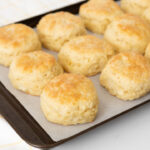 Freshly Baked Homemade Buttermilk Biscuits
