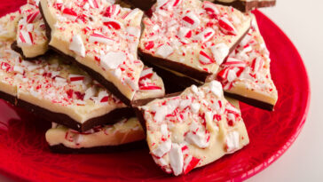 Festive red holiday plate filled with chocolate peppermint bark candy pieces