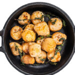 seared scallops