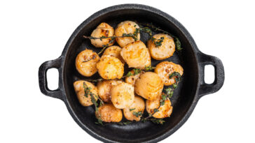 seared scallops